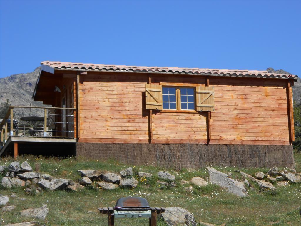 Les Chalets De Lozzi Calacuccia Oda fotoğraf