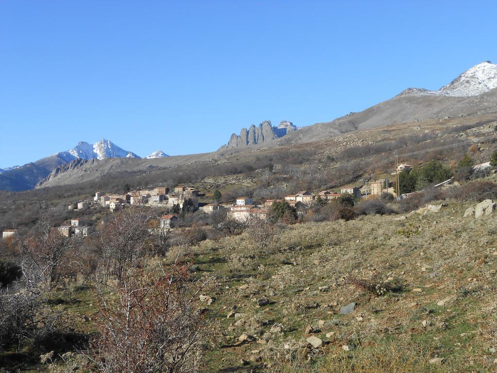 Les Chalets De Lozzi Calacuccia Dış mekan fotoğraf