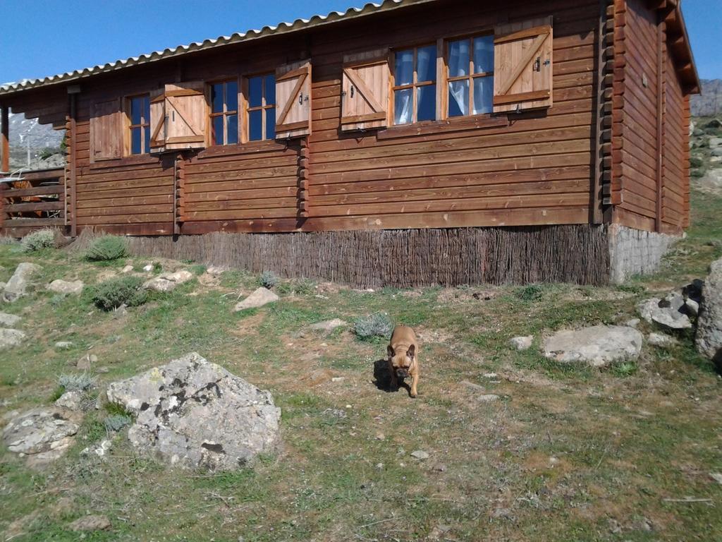 Les Chalets De Lozzi Calacuccia Dış mekan fotoğraf