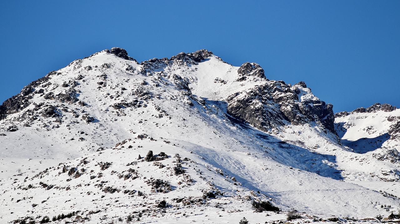 Les Chalets De Lozzi Calacuccia Dış mekan fotoğraf