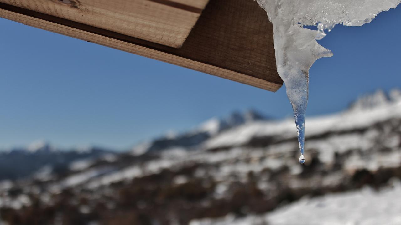 Les Chalets De Lozzi Calacuccia Dış mekan fotoğraf