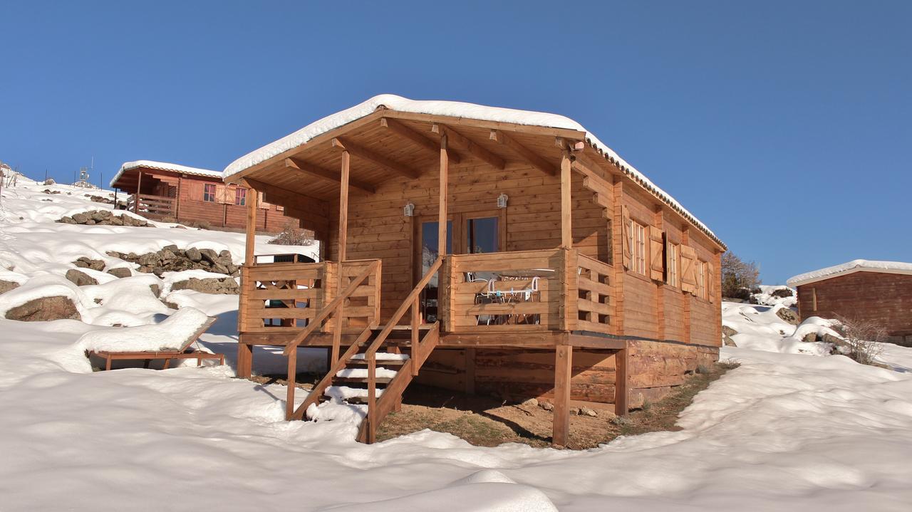 Les Chalets De Lozzi Calacuccia Dış mekan fotoğraf