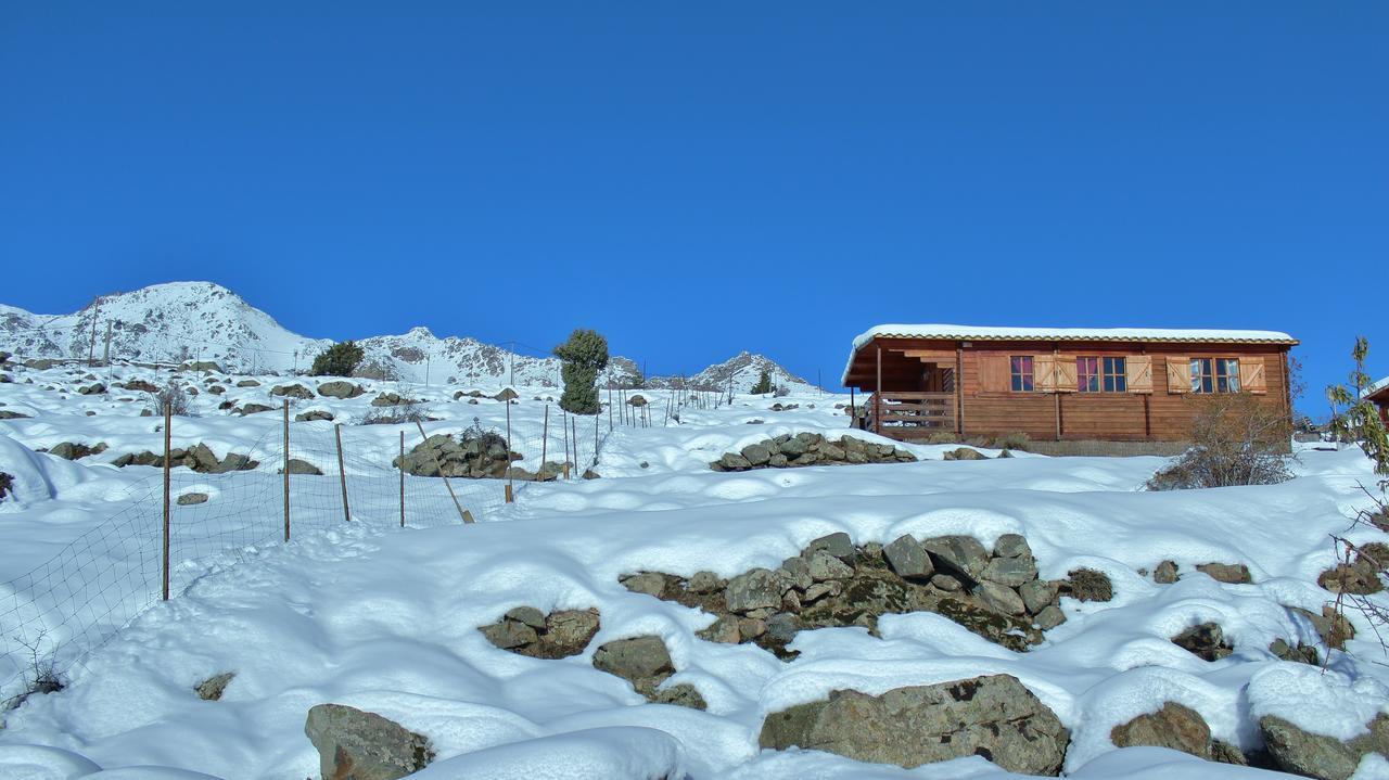 Les Chalets De Lozzi Calacuccia Dış mekan fotoğraf