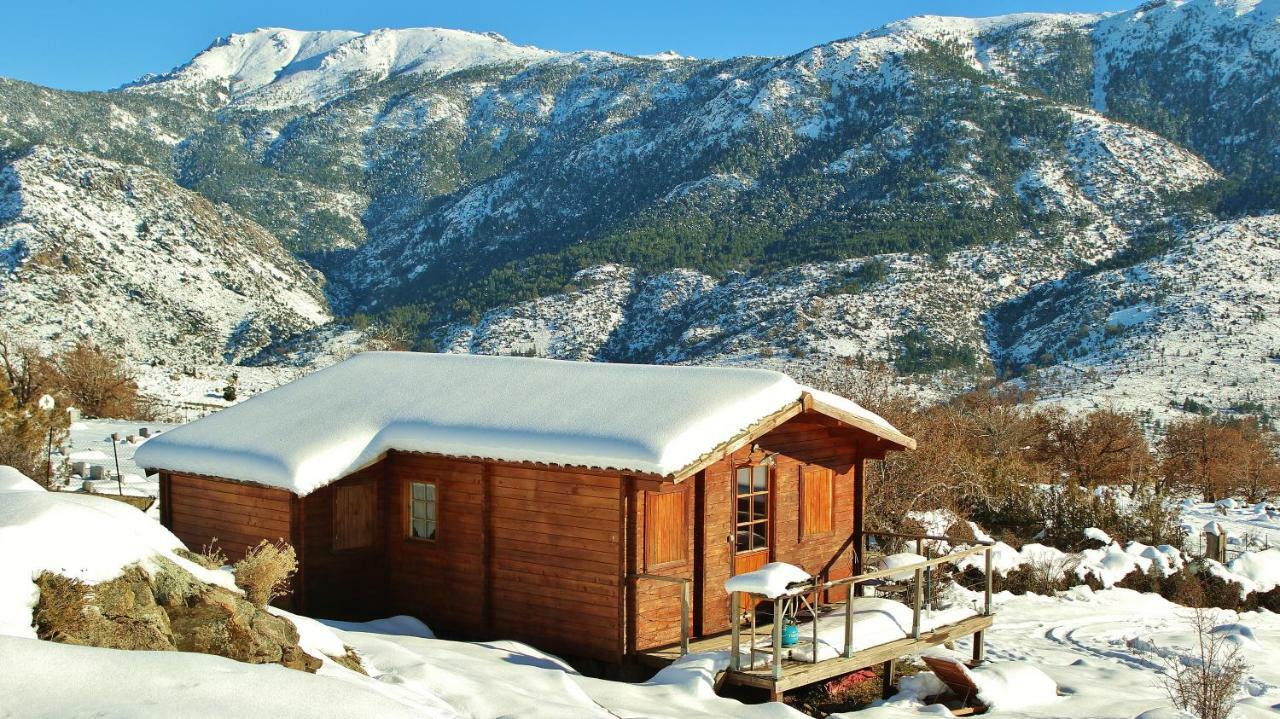 Les Chalets De Lozzi Calacuccia Dış mekan fotoğraf