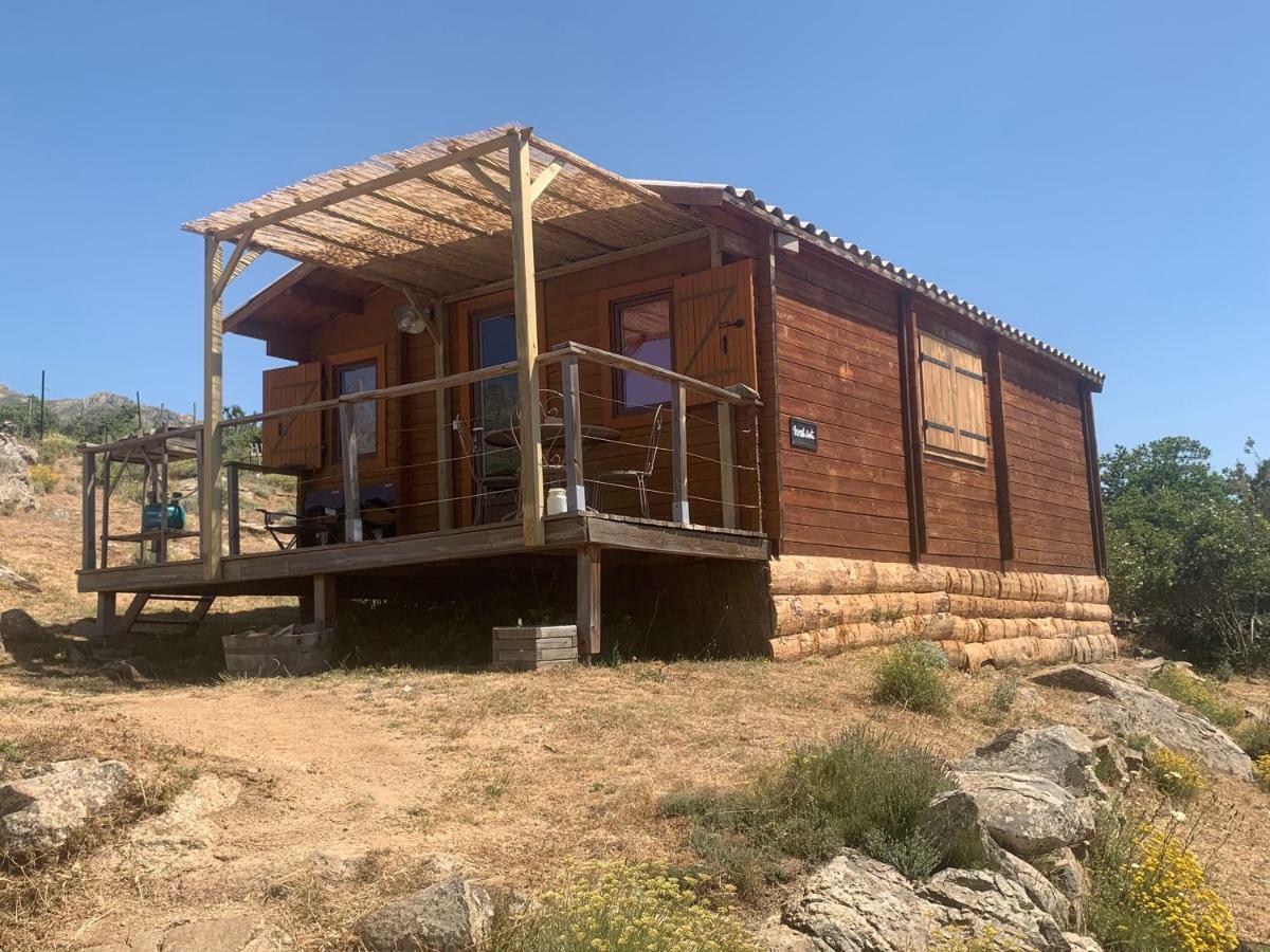 Les Chalets De Lozzi Calacuccia Dış mekan fotoğraf